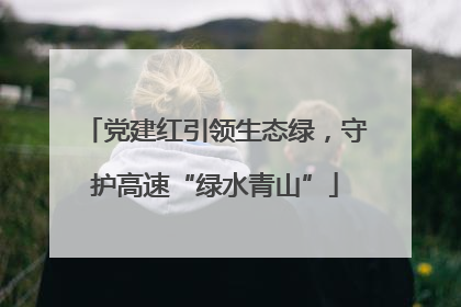 党建红引领生态绿，守护高速“绿水青山”