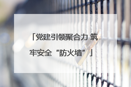 党建引领聚合力 筑牢安全“防火墙”