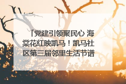 党建引领聚民心 海棠花红映凯马！凯马社区第三届邻里生活节谱写幸福新篇章