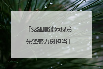 党建赋能添绿意 先锋聚力树担当