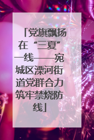 党旗飘扬在“三夏”一线——宛城区溧河街道党群合力筑牢禁烧防线