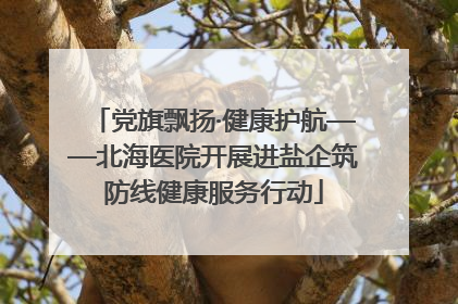 党旗飘扬·健康护航——北海医院开展进盐企筑防线健康服务行动