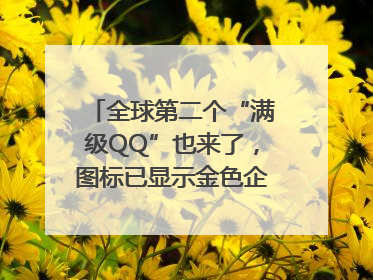 全球第二个“满级QQ”也来了，图标已显示金色企鹅，系首个“满级QQ”的小号