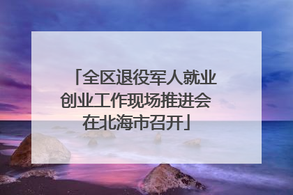 全区退役军人就业创业工作现场推进会在北海市召开