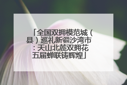 全国双拥模范城（县）巡礼新疆沙湾市：天山北麓双拥花 五届蝉联铸辉煌
