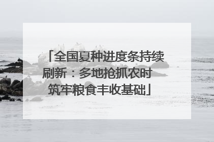 全国夏种进度条持续刷新：多地抢抓农时 筑牢粮食丰收基础