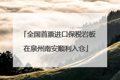 全国首票进口保税岩板在泉州南安顺利入仓