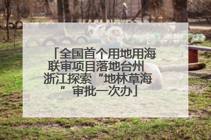 全国首个用地用海联审项目落地台州 浙江探索“地林草海”审批一次办