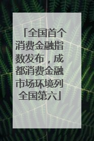 全国首个消费金融指数发布，成都消费金融市场环境列全国第六