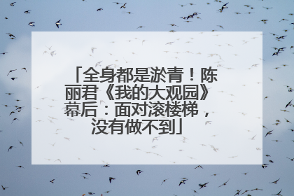 全身都是淤青！陈丽君《我的大观园》幕后：面对滚楼梯，没有做不到