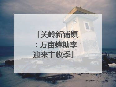 关岭新铺镇：万亩蜂糖李迎来丰收季