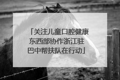 关注儿童口腔健康 东西部协作浙江驻巴中帮扶队在行动