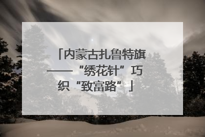 内蒙古扎鲁特旗——“绣花针”巧织“致富路”