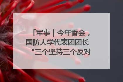 军事｜今年香会，国防大学代表团团长“三个坚持三个反对”说明了什么？