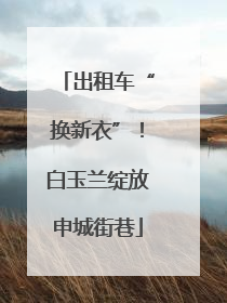 出租车“换新衣”！白玉兰绽放申城街巷