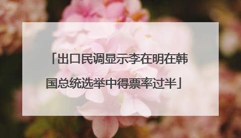出口民调显示李在明在韩国总统选举中得票率过半