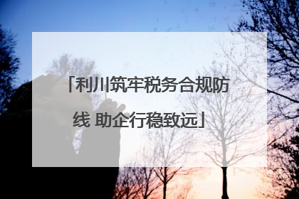 利川筑牢税务合规防线 助企行稳致远