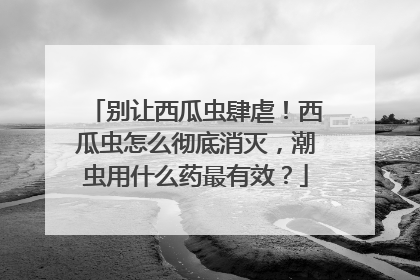 别让西瓜虫肆虐！西瓜虫怎么彻底消灭，潮虫用什么药最有效？