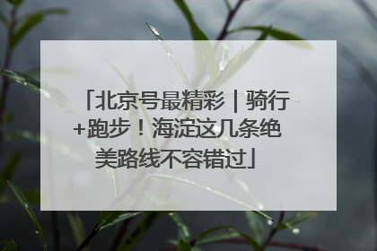 北京号最精彩｜骑行+跑步！海淀这几条绝美路线不容错过