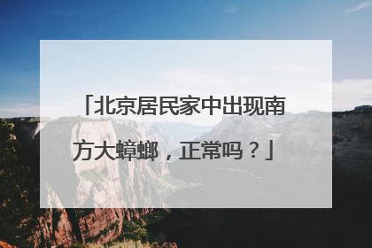 北京居民家中出现南方大蟑螂，正常吗？
