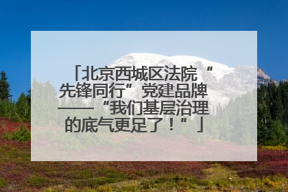 北京西城区法院“先锋同行”党建品牌——“我们基层治理的底气更足了！”