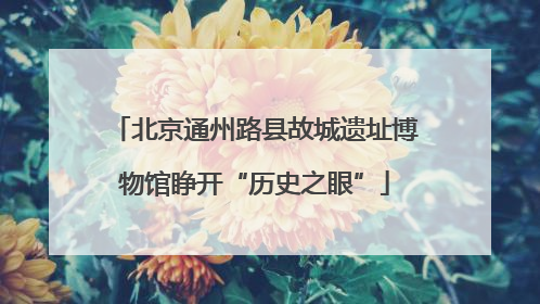 北京通州路县故城遗址博物馆睁开“历史之眼”