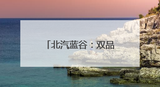 北汽蓝谷：双品牌战略领航，开启发展新征程