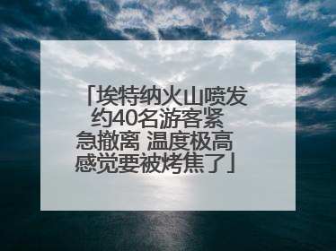 埃特纳火山喷发 约40名游客紧急撤离 温度极高感觉要被烤焦了