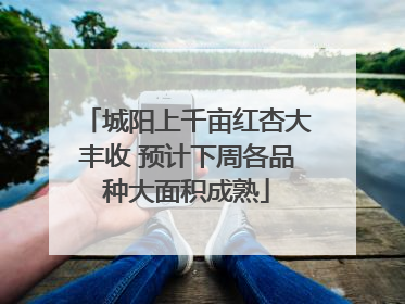 城阳上千亩红杏大丰收 预计下周各品种大面积成熟