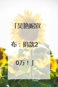 吴艳妮宣布：捐款20万！