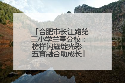 合肥市长江路第三小学兰亭分校：榜样闪耀绽光彩 五育融合助成长