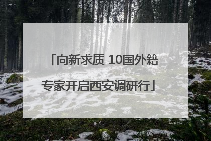 向新求质 10国外籍专家开启西安调研行