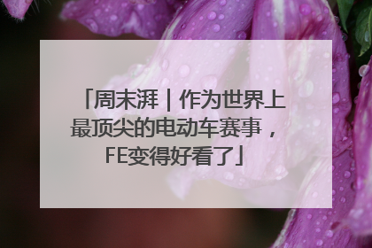 周末湃｜作为世界上最顶尖的电动车赛事，FE变得好看了