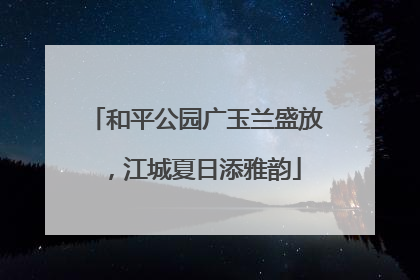 和平公园广玉兰盛放，江城夏日添雅韵