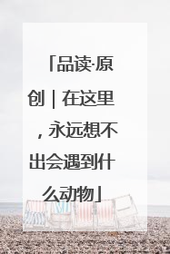 品读·原创｜在这里，永远想不出会遇到什么动物