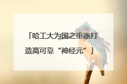 哈工大为国之重器打造高可靠“神经元”