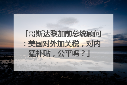 哥斯达黎加前总统顾问：美国对外加关税，对内猛补贴，公平吗？