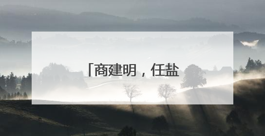 商建明，任盐城市副市长