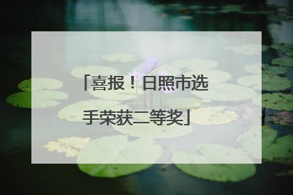 喜报！日照市选手荣获二等奖
