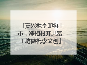 嘉兴槜李即将上市，净相村开共富工坊做槜李文创