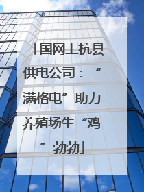 国网上杭县供电公司：“满格电”助力养殖场生“鸡”勃勃