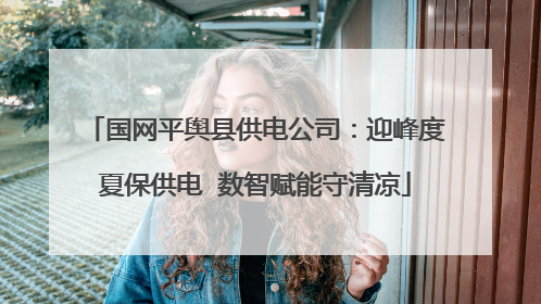 国网平舆县供电公司：迎峰度夏保供电  数智赋能守清凉