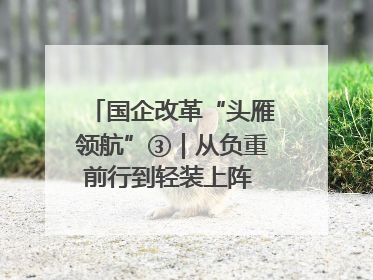 国企改革“头雁领航”③｜从负重前行到轻装上阵 重庆以“瘦身”谋“健体”
