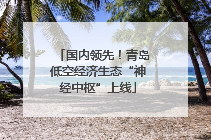 国内领先！青岛低空经济生态“神经中枢”上线