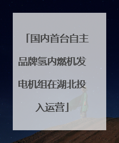 国内首台自主品牌氢内燃机发电机组在湖北投入运营