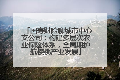 国寿财险聊城市中心支公司：构建多层次农业保险体系，全周期护航樱桃产业发展