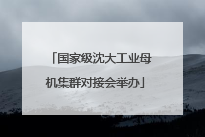 国家级沈大工业母机集群对接会举办