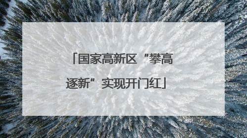 国家高新区“攀高逐新”实现开门红