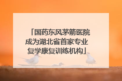国药东风茅箭医院成为湖北省首家专业复学康复训练机构