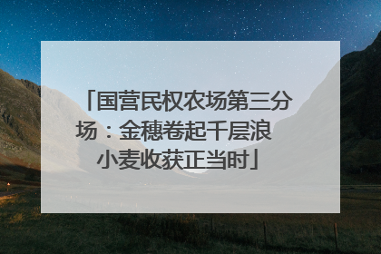 国营民权农场第三分场：金穗卷起千层浪 小麦收获正当时